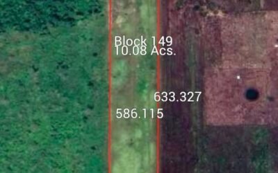 10 acres of cleared fertile land in Agua Viva – photo 3