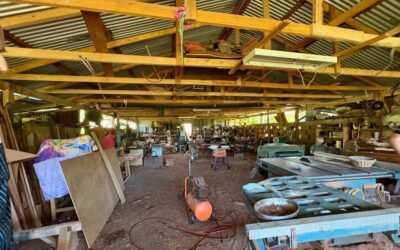 9.37-acre homestead farm with house and workshop, Agua Viva – photo 7