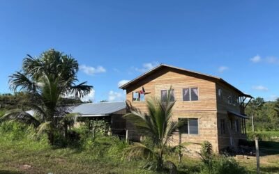 9.37-acre homestead farm with house and workshop, Agua Viva – photo 2