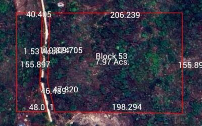 9.5 acres of untouched land in Agua Viva – photo 2