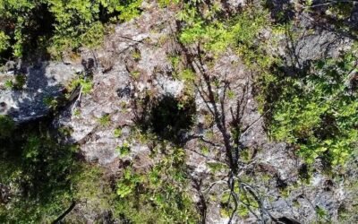 9.5 acres of untouched land in Agua Viva – photo 7