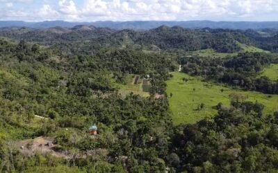 9.5 acres of untouched land in Agua Viva – photo 9