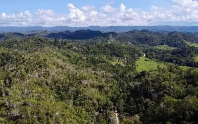 9.5 acres of untouched land in Agua Viva – photo 5