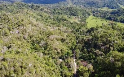 9.5 acres of untouched land in Agua Viva – photo 6
