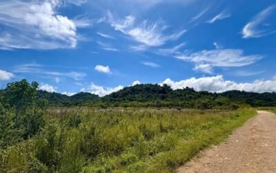 13-acre off-grid hilltop lot near ATM Cave – photo 8