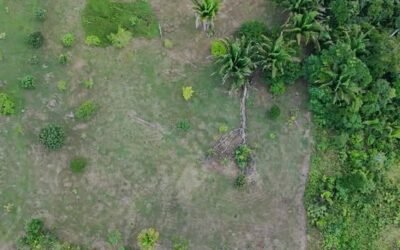 13-acre off-grid hilltop lot near ATM Cave – photo 2