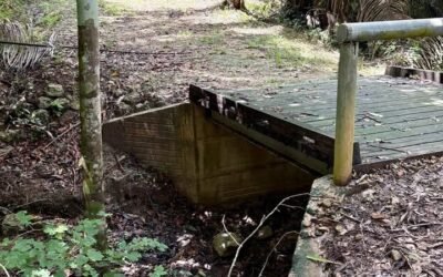 13-acre off-grid hilltop lot near ATM Cave – photo 9