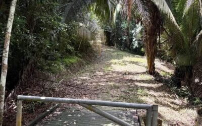 13-acre off-grid hilltop lot near ATM Cave – photo 4