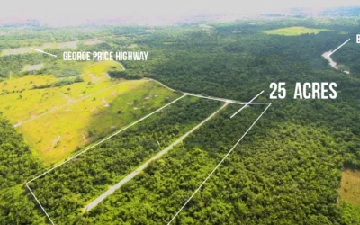 25 Acre Lot • Mount Pleasant, Belmopan
