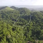 Untouched 10 acres lot in the community of Agua Viva