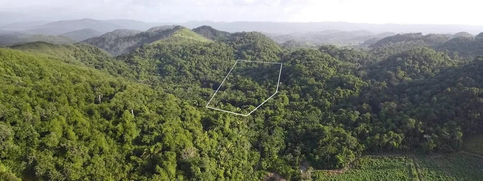 Untouched 10 acres lot in the community of Agua Viva Untouched 10 acres lot in the community of Agua Viva