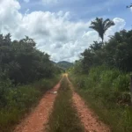 13 Acres, just a mile to Roaring River, off grid property. 13 Acres, just a mile to Roaring River, off grid property.
