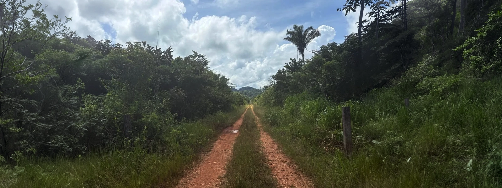 13 Acres, just a mile to Roaring River, off grid property.